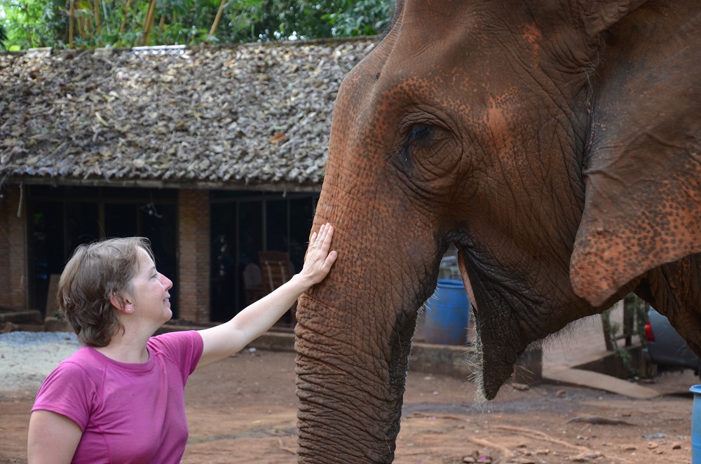32 - éléphant qui sourie à Joëlle