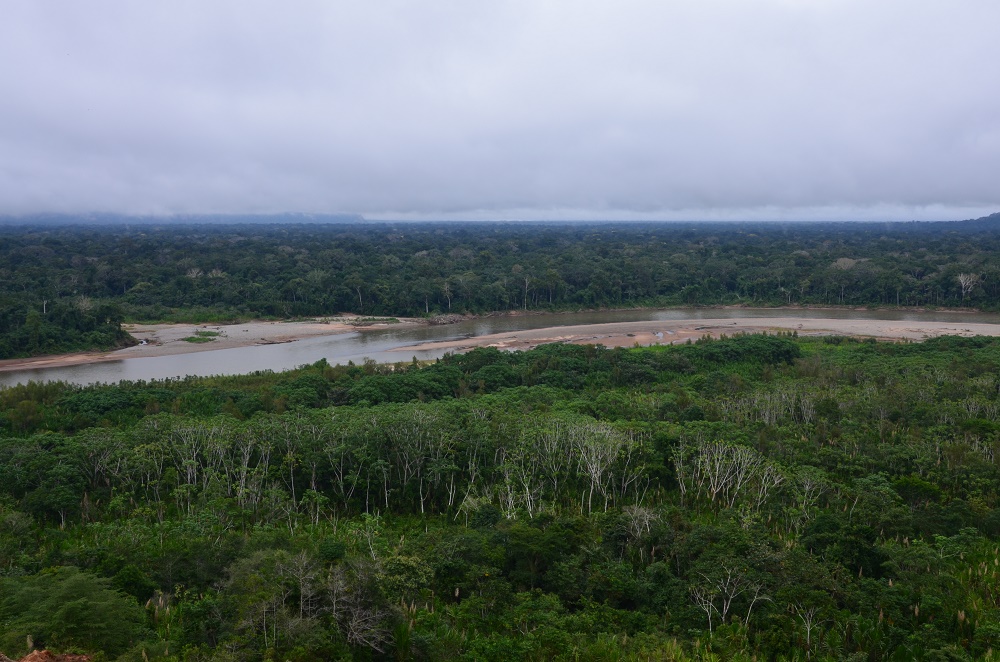 10bis - vue sur la forêt amazonienne, à côté du campement